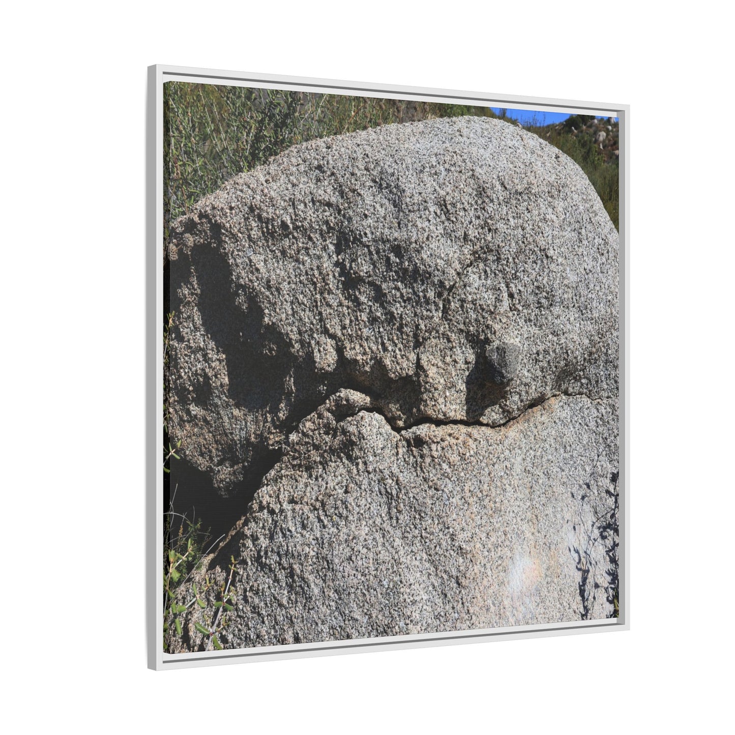 Stone Skull in Desert - Unique Stretched Canvas Wall Art