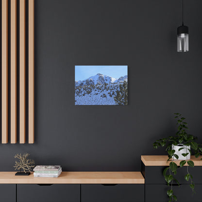Snowy Peaks and Stoic Pines - Unique Frameless Canvas Wall Art