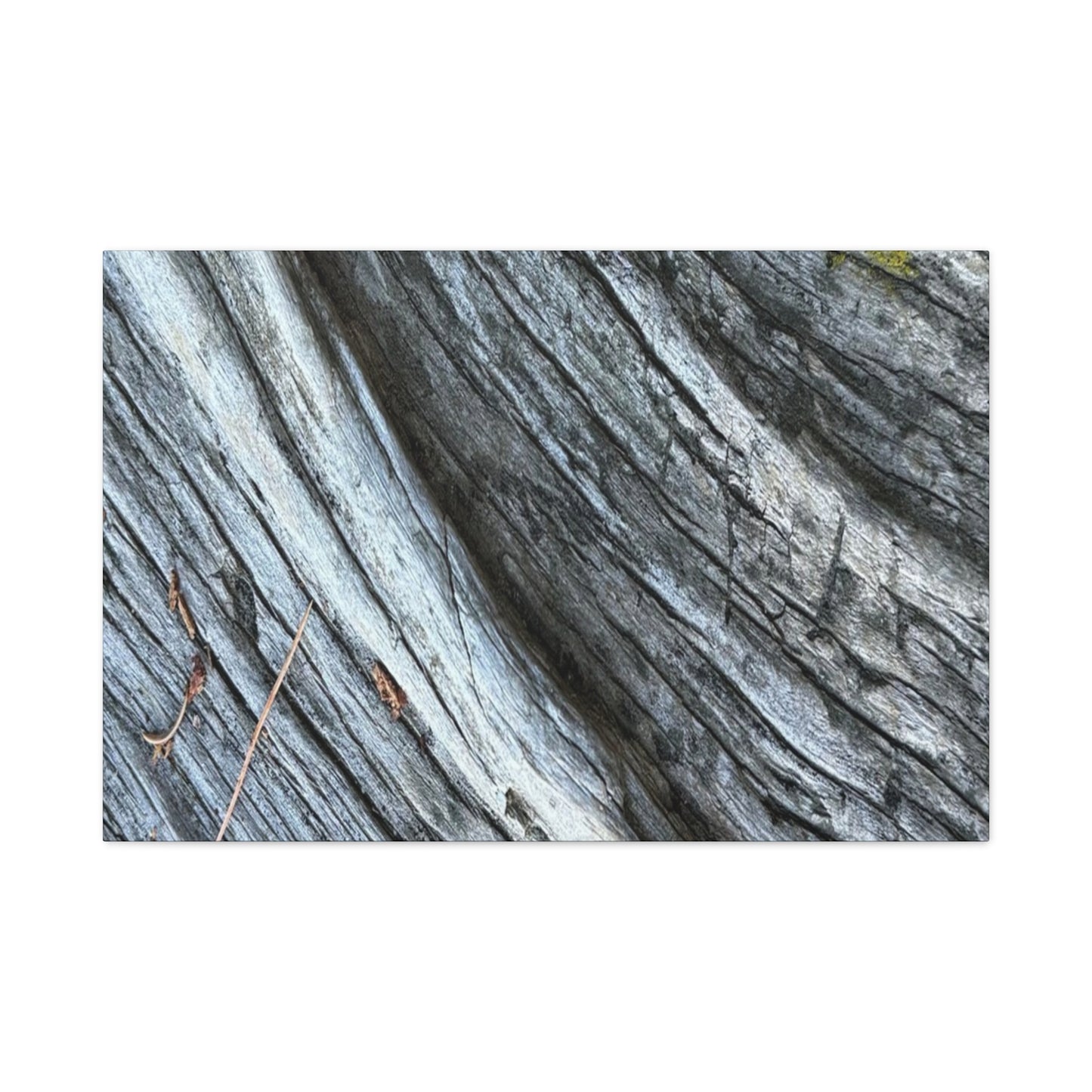 Weathered Wood Grain - Unique Frameless Canvas Wall Art - Art By Earth