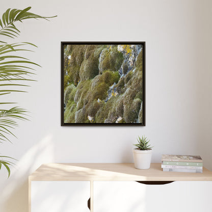 Moss Symphony - Unique Stretched Canvas Wall Art
