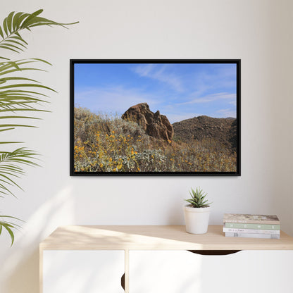 Golden Flowers in Arid Landscape - Unique Stretched Canvas Wall Art - Art By Earth