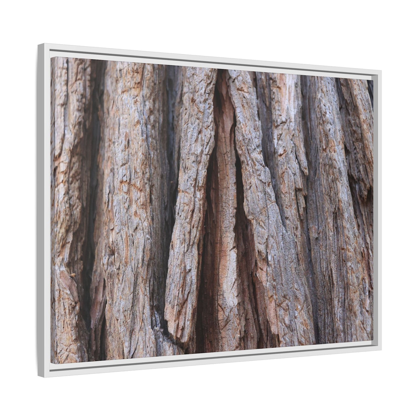 Nature's Sculpture - Unique Stretched Canvas Wall Art - Art By Earth