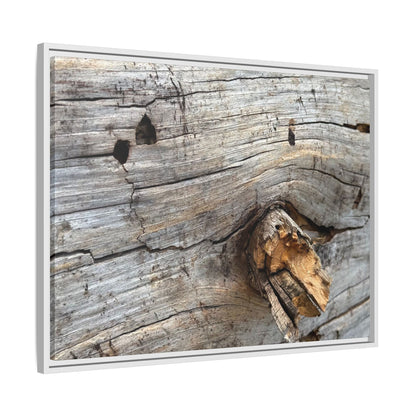 Weathered Wood Texture - Unique Stretched Canvas Wall Art - Art By Earth