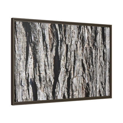Bark Lines - Unique Stretched Canvas Wall Art - Art By Earth