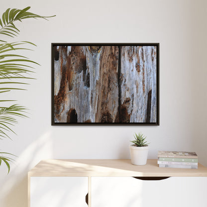 Decaying Splendor - Unique Stretched Canvas Wall Art - Art By Earth