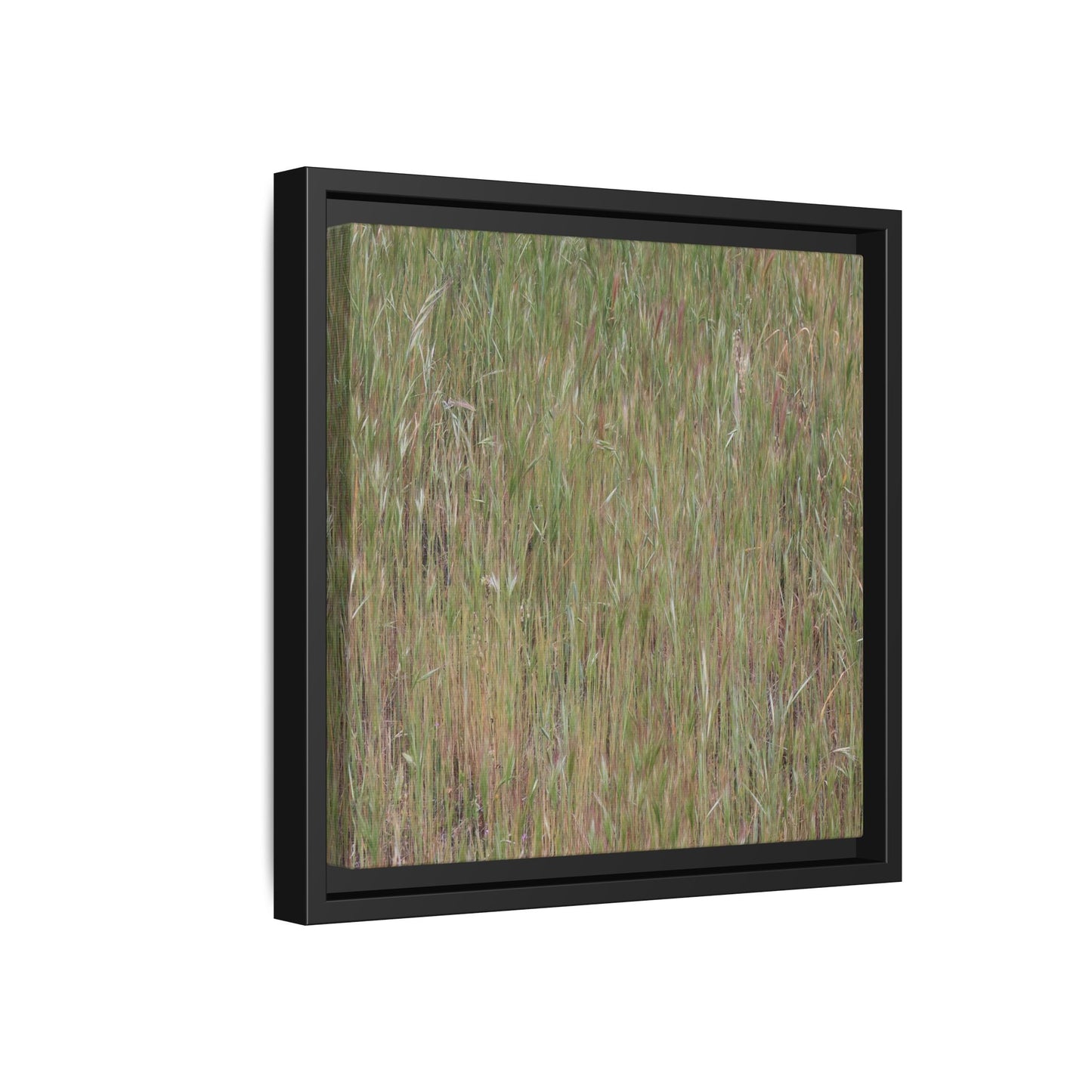 Field of Dreams - Unique Stretched Canvas Wall Art - Art By Earth
