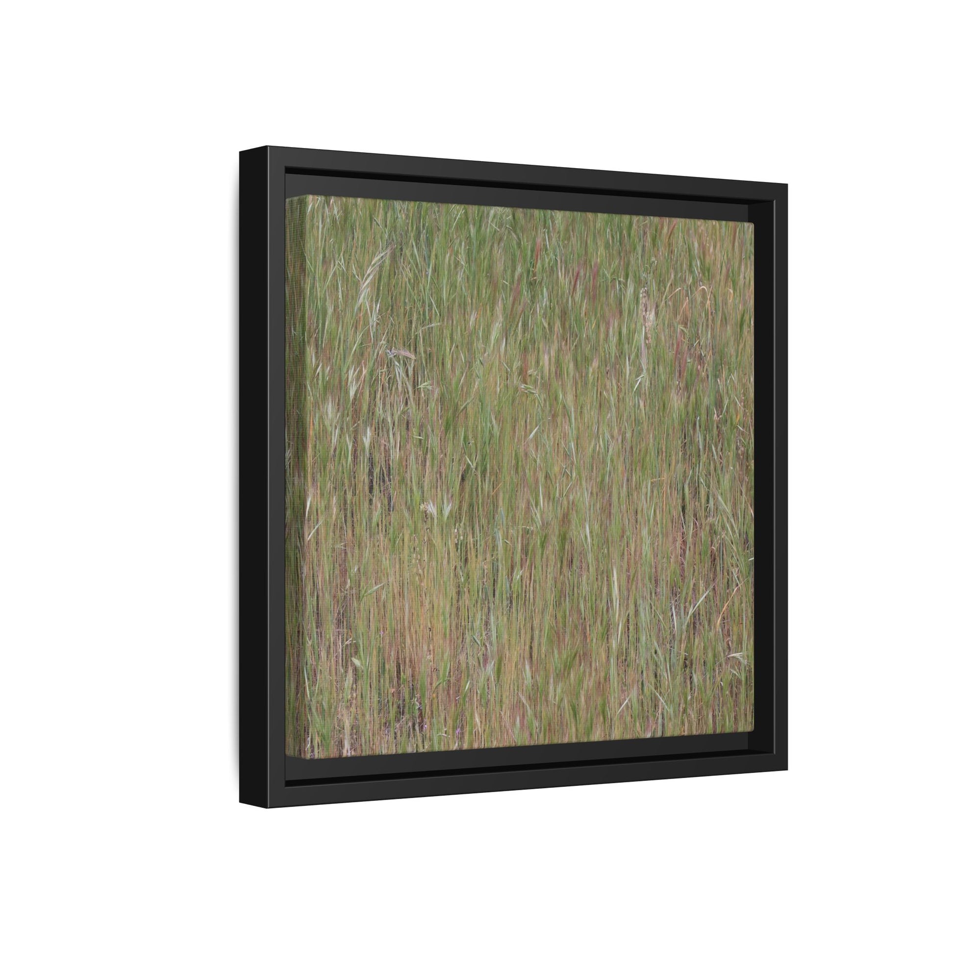 Field of Dreams - Unique Stretched Canvas Wall Art - Art By Earth