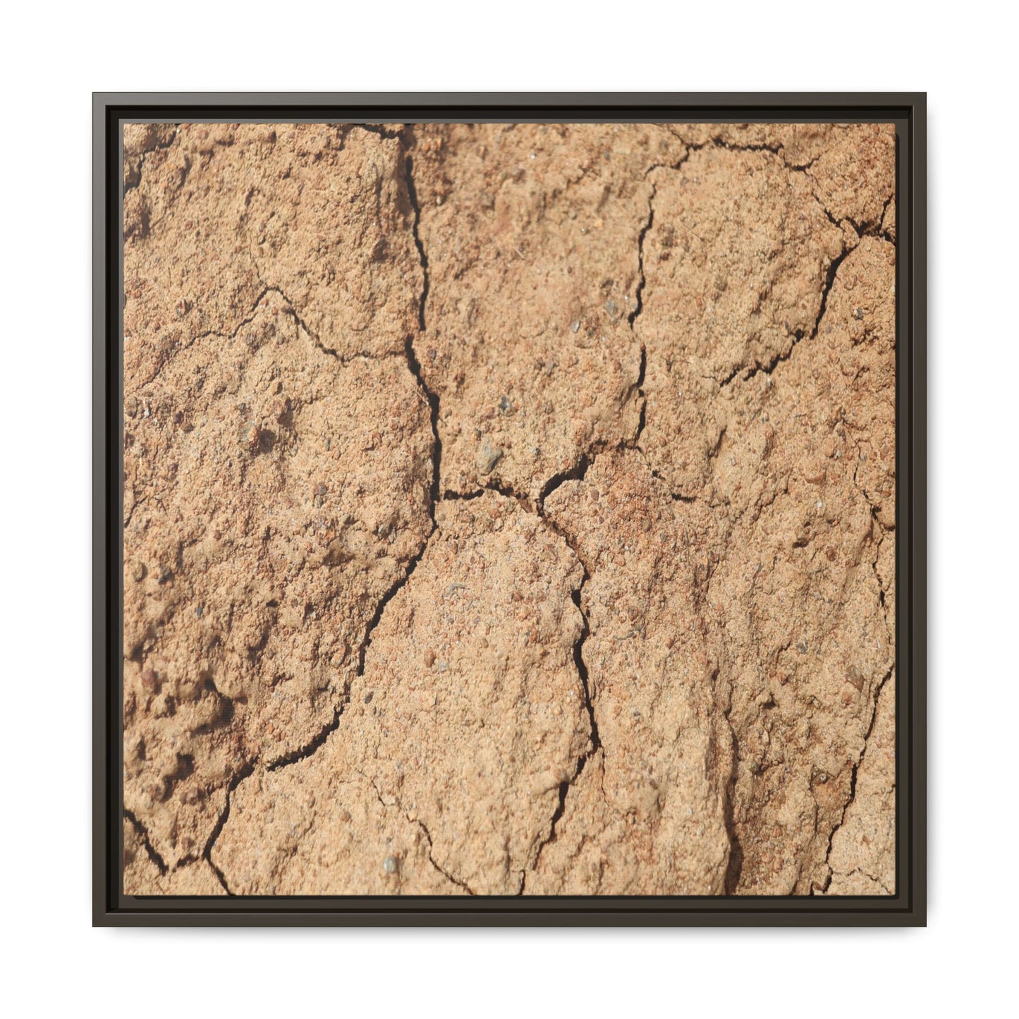 Parched Land - Unique Stretched Canvas Wall Art - Art By Earth