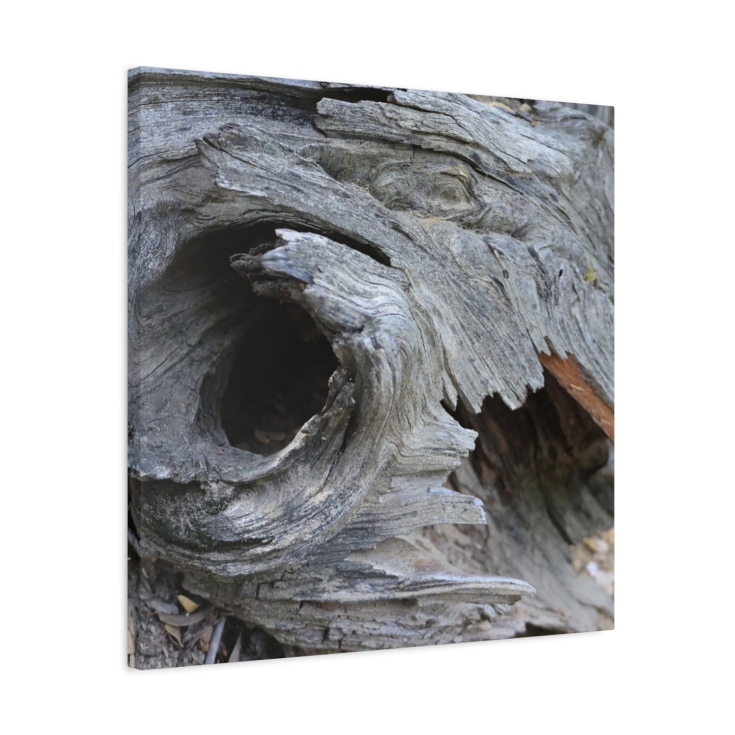 Twisted Whispers of the Forest Floor - Unique Frameless Canvas Wall Art - Art By Earth