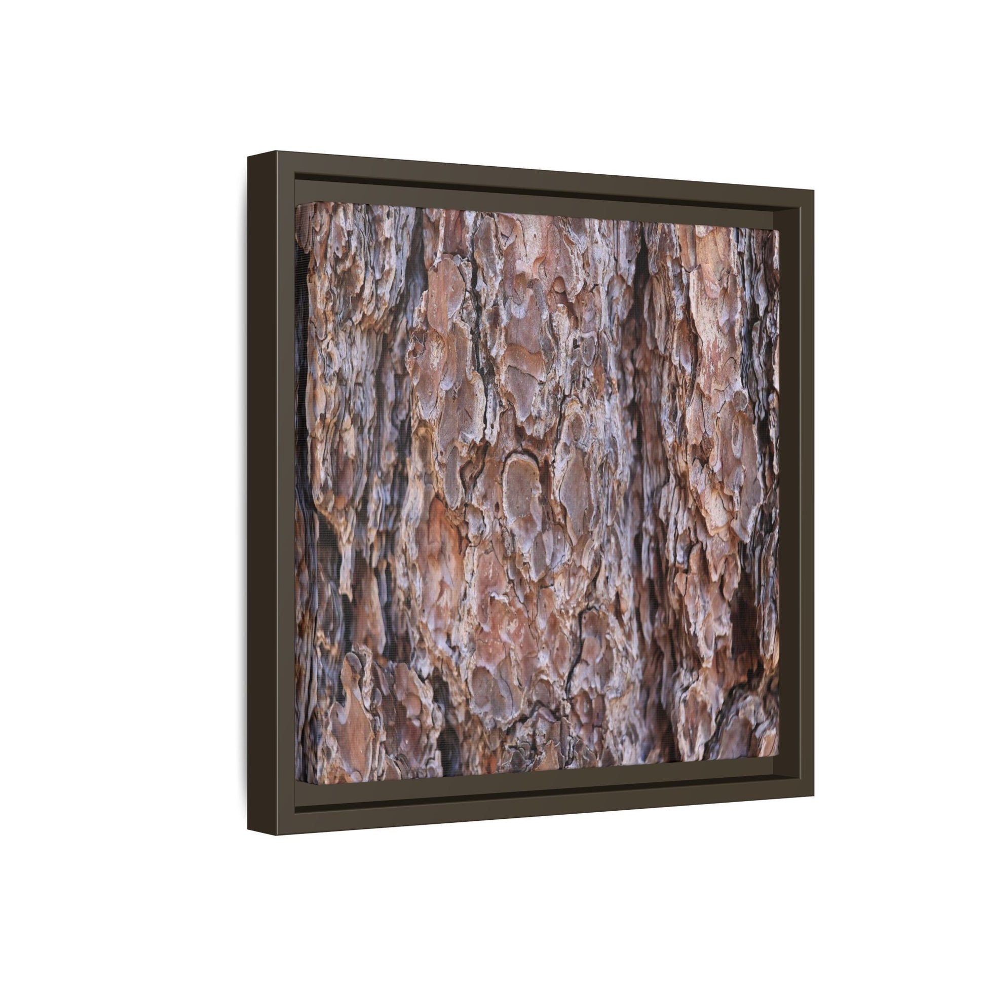 Woody Layers - Unique Stretched Canvas Wall Art - Art By Earth