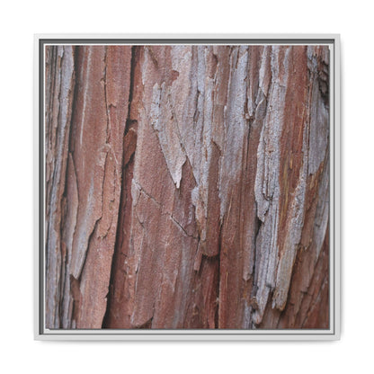 Time and Decay - Unique Stretched Canvas Wall Art - Art By Earth