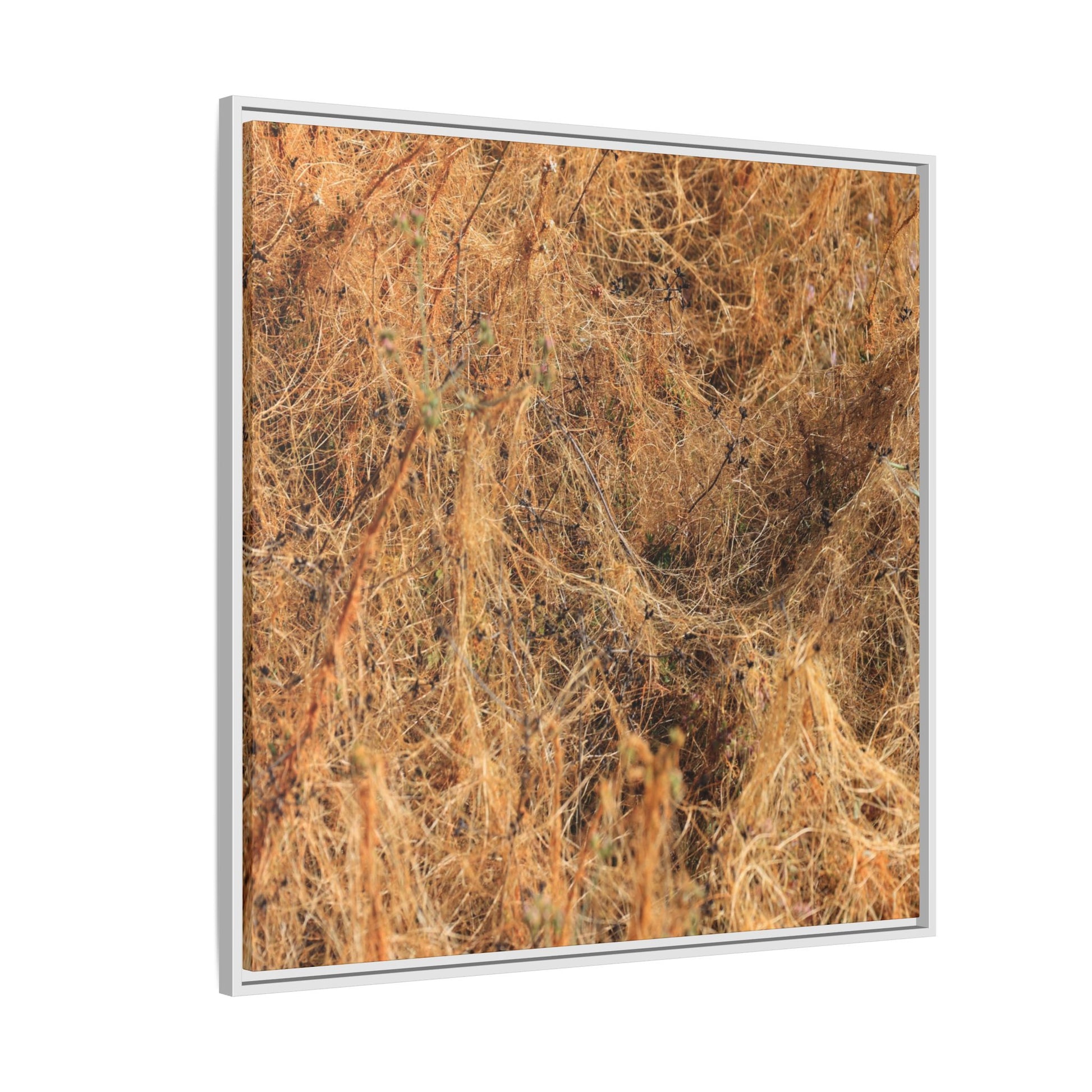 Dried Vegetation Study - Unique Stretched Canvas Wall Art - Art By Earth
