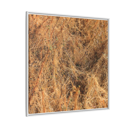 Dried Vegetation Study - Unique Stretched Canvas Wall Art - Art By Earth