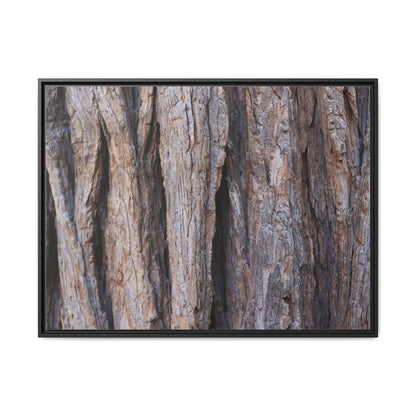 Ancient Grains - Unique Stretched Canvas Wall Art - Art By Earth