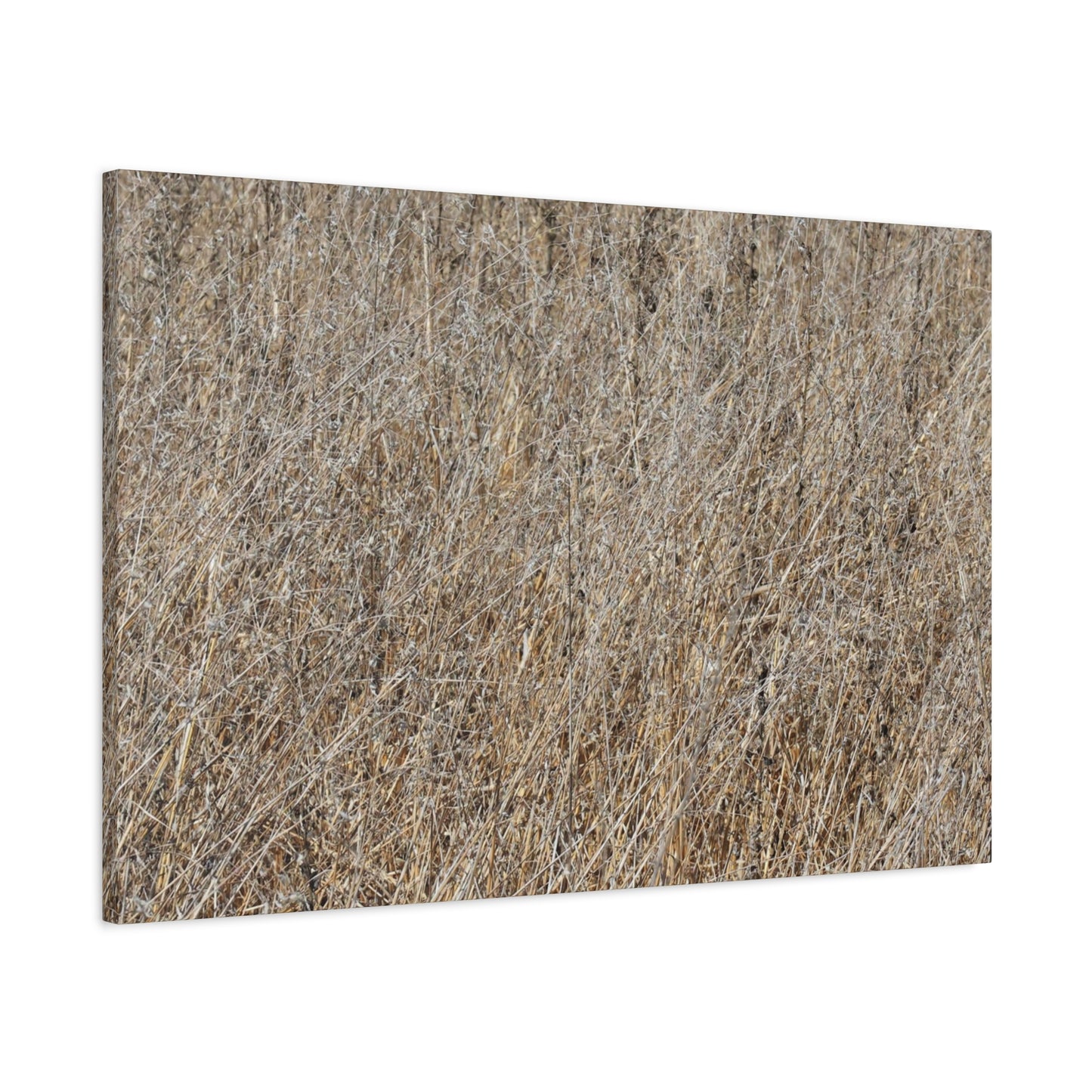 Silent Prairie - Unique Frameless Canvas Wall Art - Art By Earth