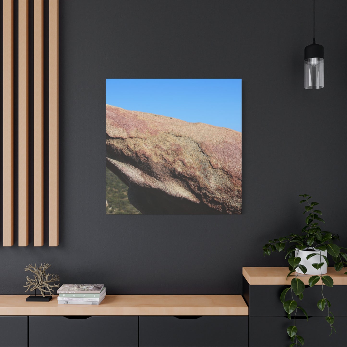 Stone Dreamer - Unique Frameless Canvas Wall Art - Art By Earth