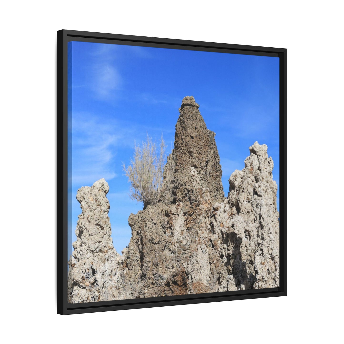 Silent Sentinels - Unique Stretched Canvas Wall Art