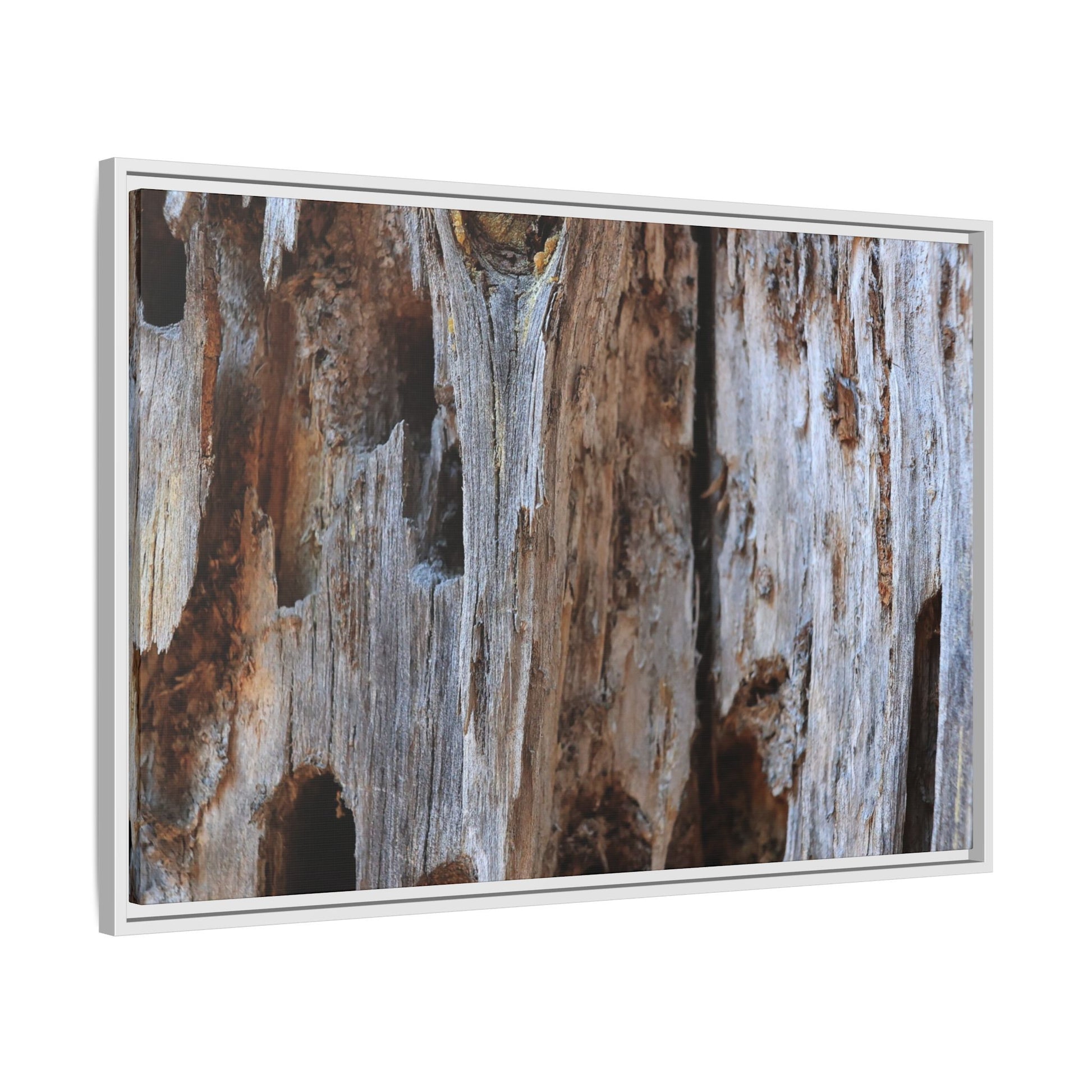Decaying Splendor - Unique Stretched Canvas Wall Art - Art By Earth