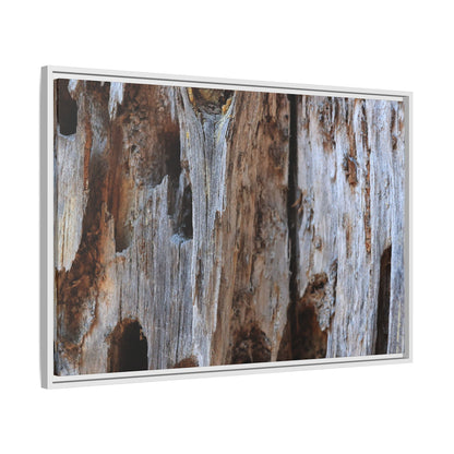 Decaying Splendor - Unique Stretched Canvas Wall Art - Art By Earth