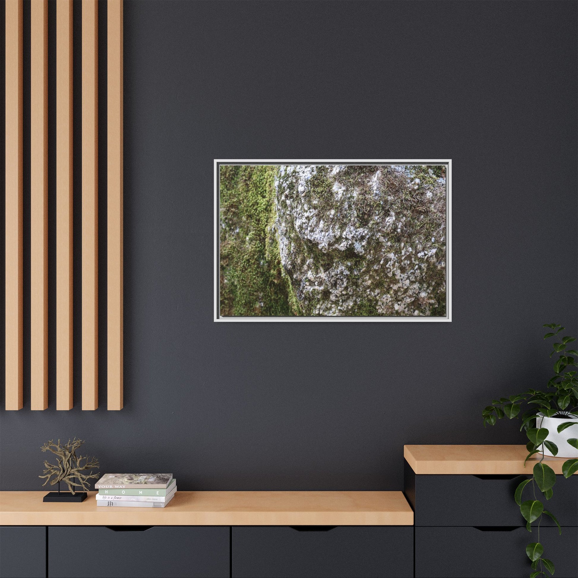 Lichen Landscape - Unique Stretched Canvas Wall Art - Art By Earth