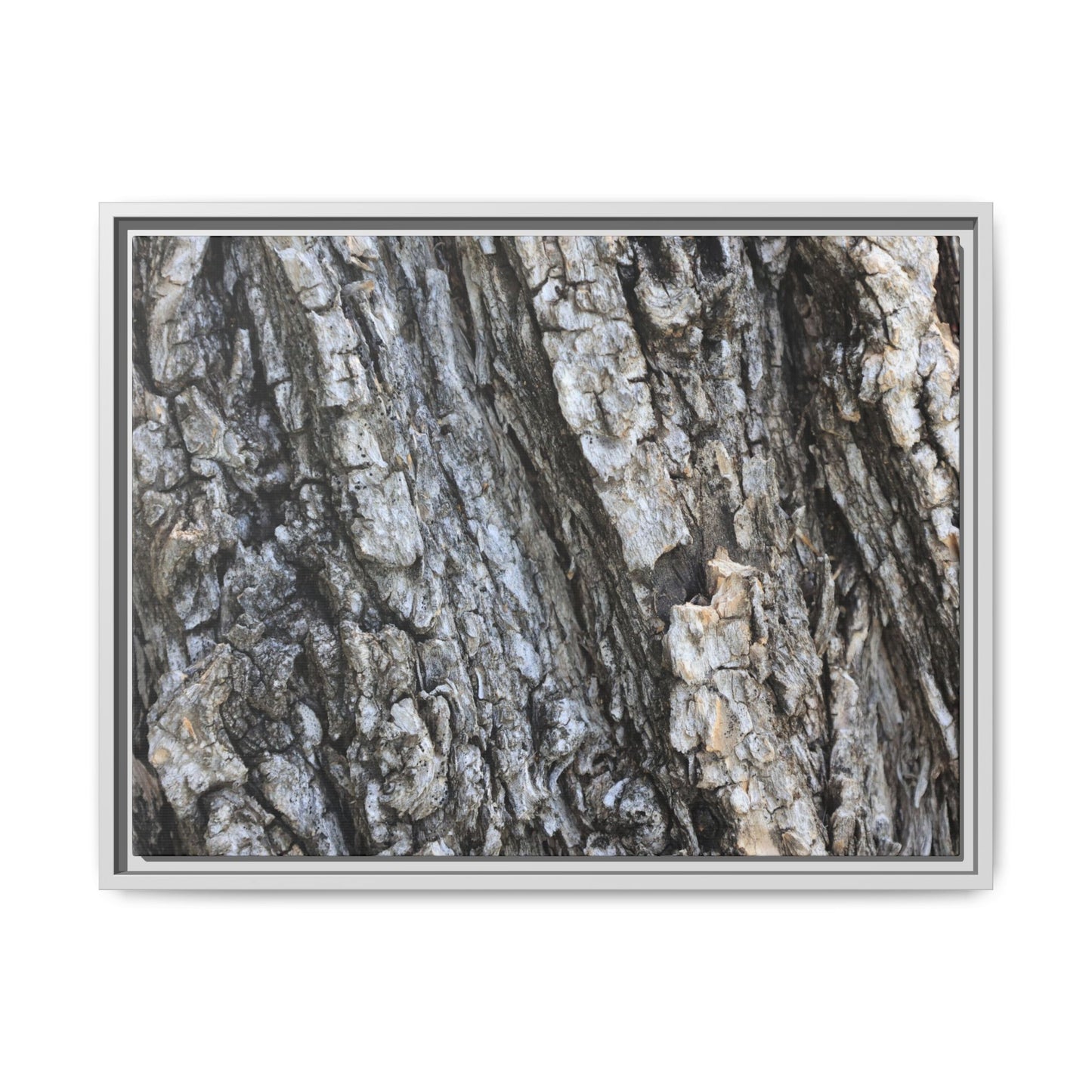 Twisted Textures - Unique Stretched Canvas Wall Art - Art By Earth