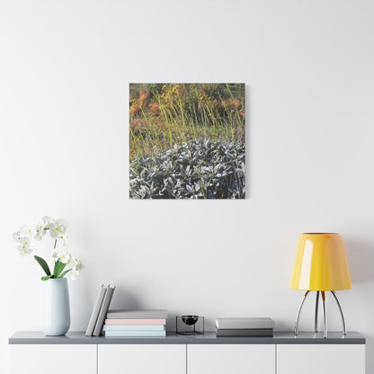 Desert Wildflowers in Bloom - Unique Frameless Canvas Wall Art - Art By Earth