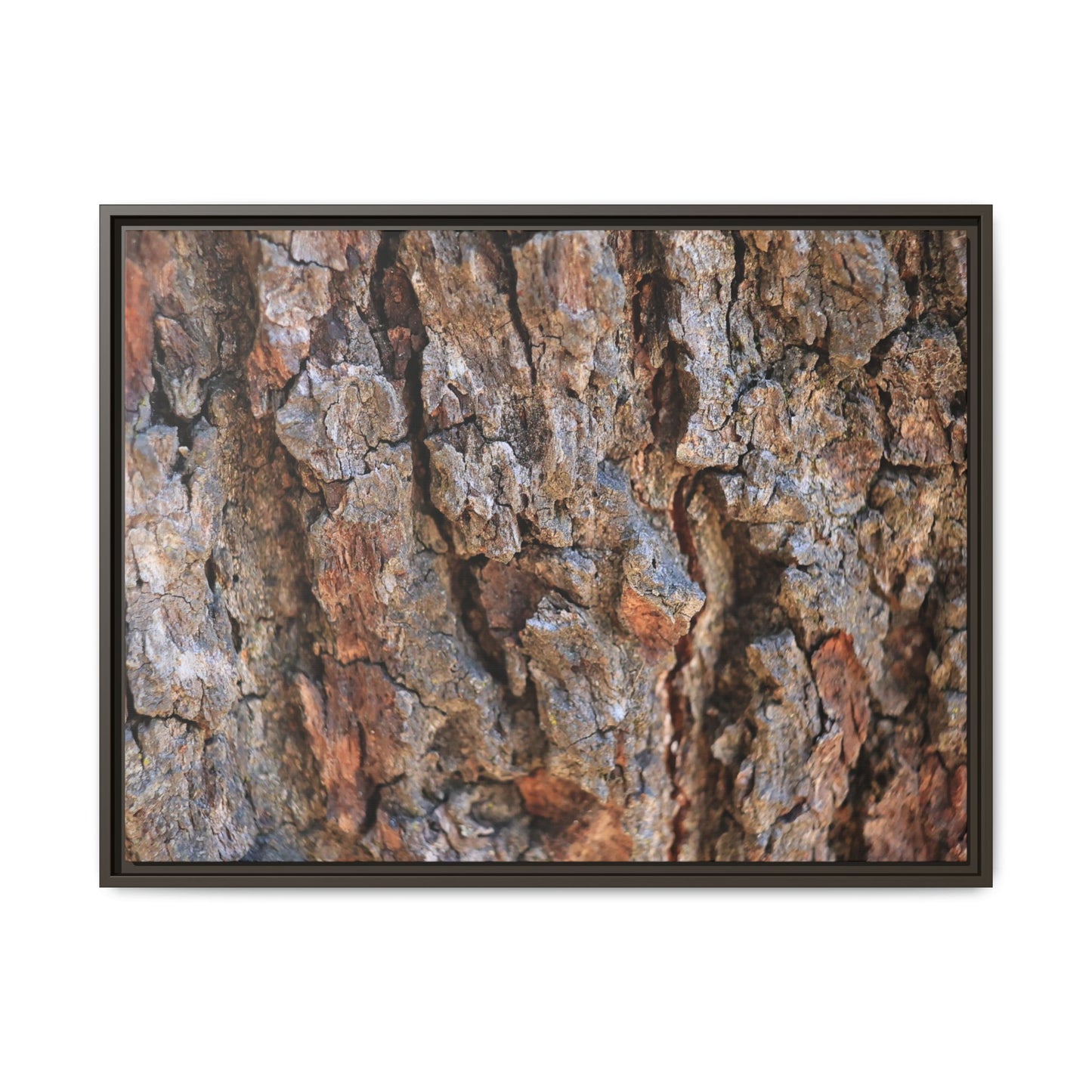 Craggy Textures - Unique Stretched Canvas Wall Art - Art By Earth