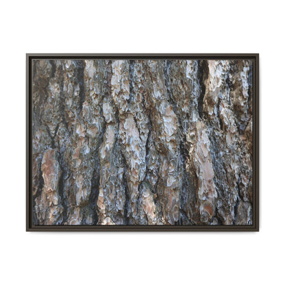 Bark Whispers - Unique Stretched Canvas Wall Art - Art By Earth