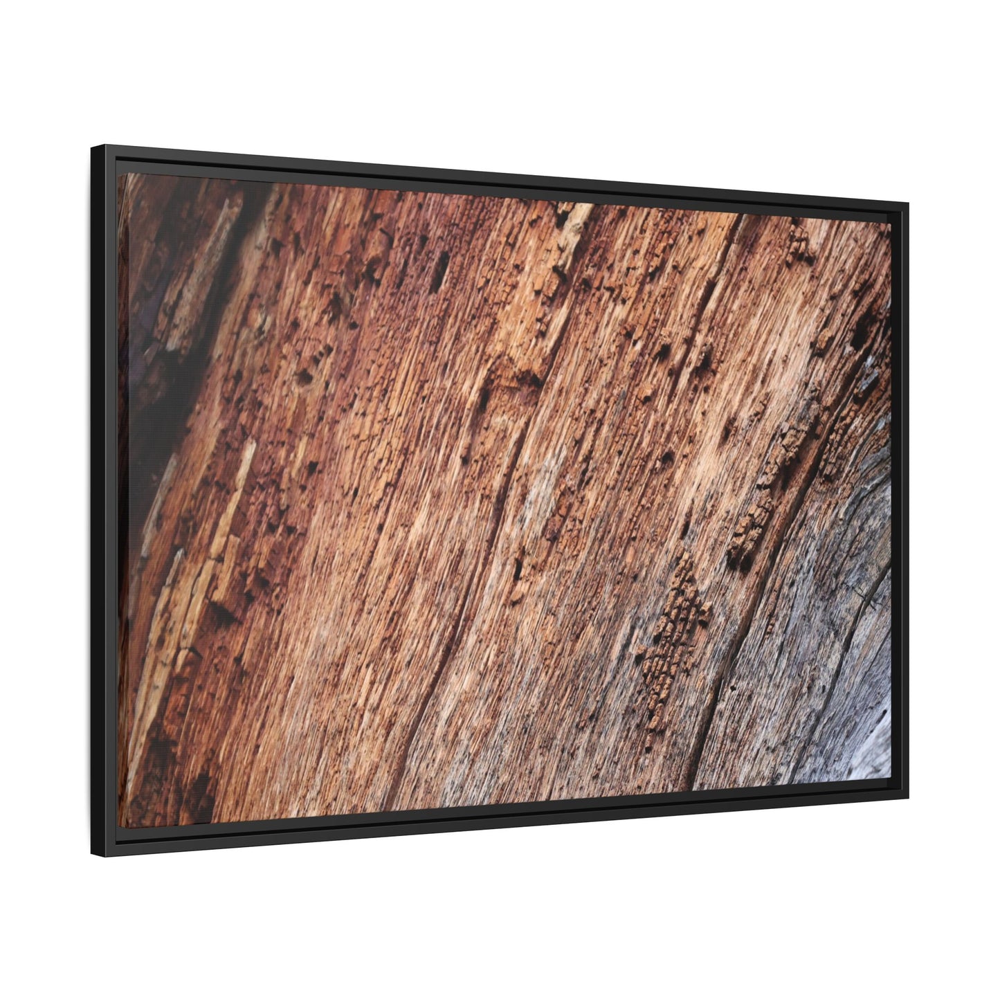 Time's Mark - Unique Stretched Canvas Wall Art - Art By Earth