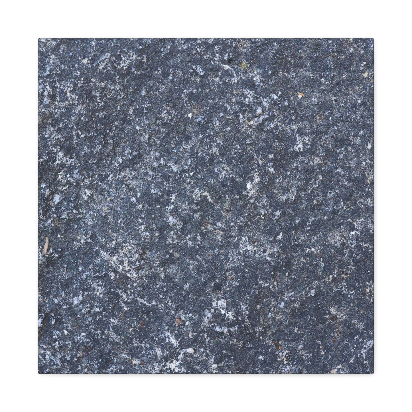 Frozen Whispers of Stone - Unique Frameless Canvas Wall Art - Art By Earth