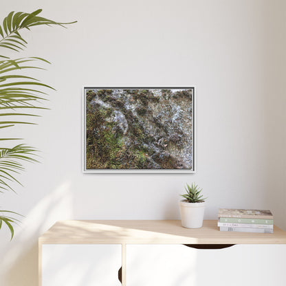 Mossy Whispers - Unique Stretched Canvas Wall Art - Art By Earth
