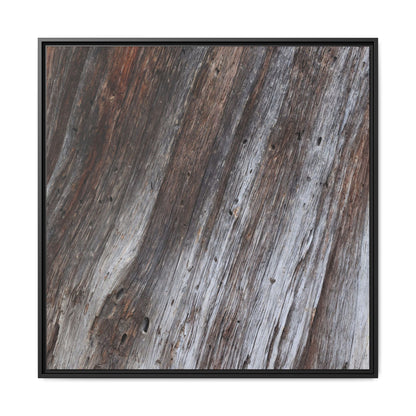 Aged Timber Texture - Unique Stretched Canvas Wall Art - Art By Earth