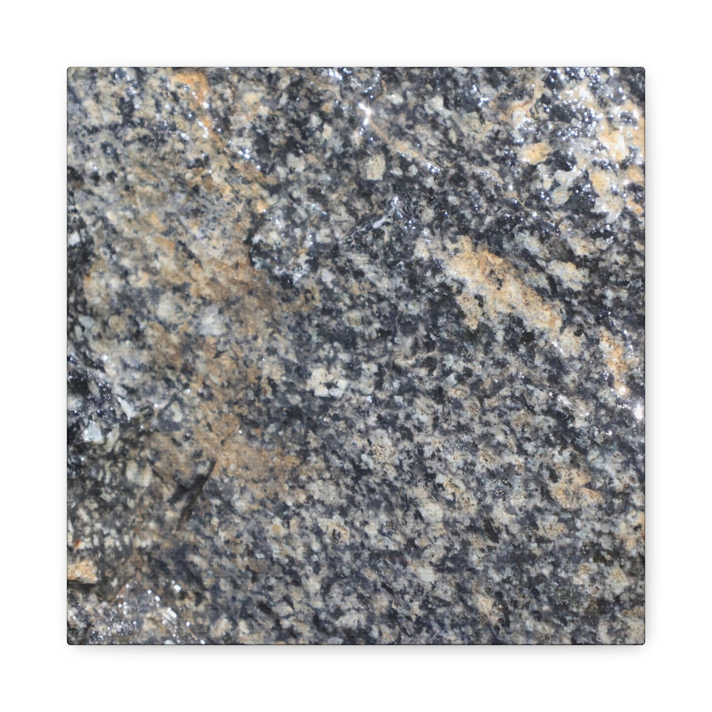 Metamorphic Memory - Unique Frameless Canvas Wall Art - Art By Earth