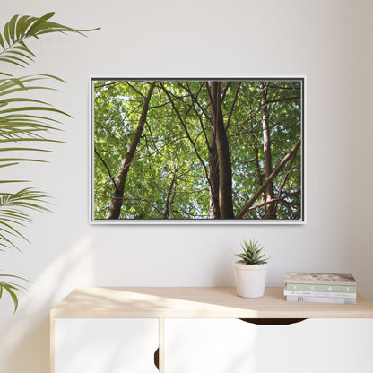 Forest Branches - Unique Stretched Canvas Wall Art