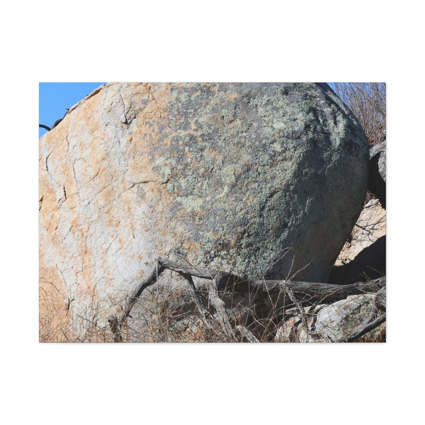 Boulder's Solitude - Unique Stretched Canvas Wall Art - Art By Earth