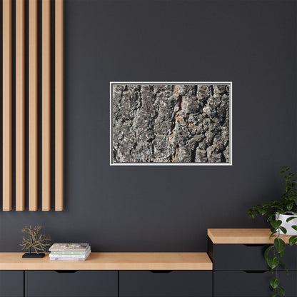 Aged Beauty - Unique Stretched Canvas Wall Art - Art By Earth