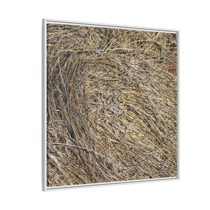 Tangled Grass Symphony - Unique Stretched Canvas Wall Art - Art By Earth