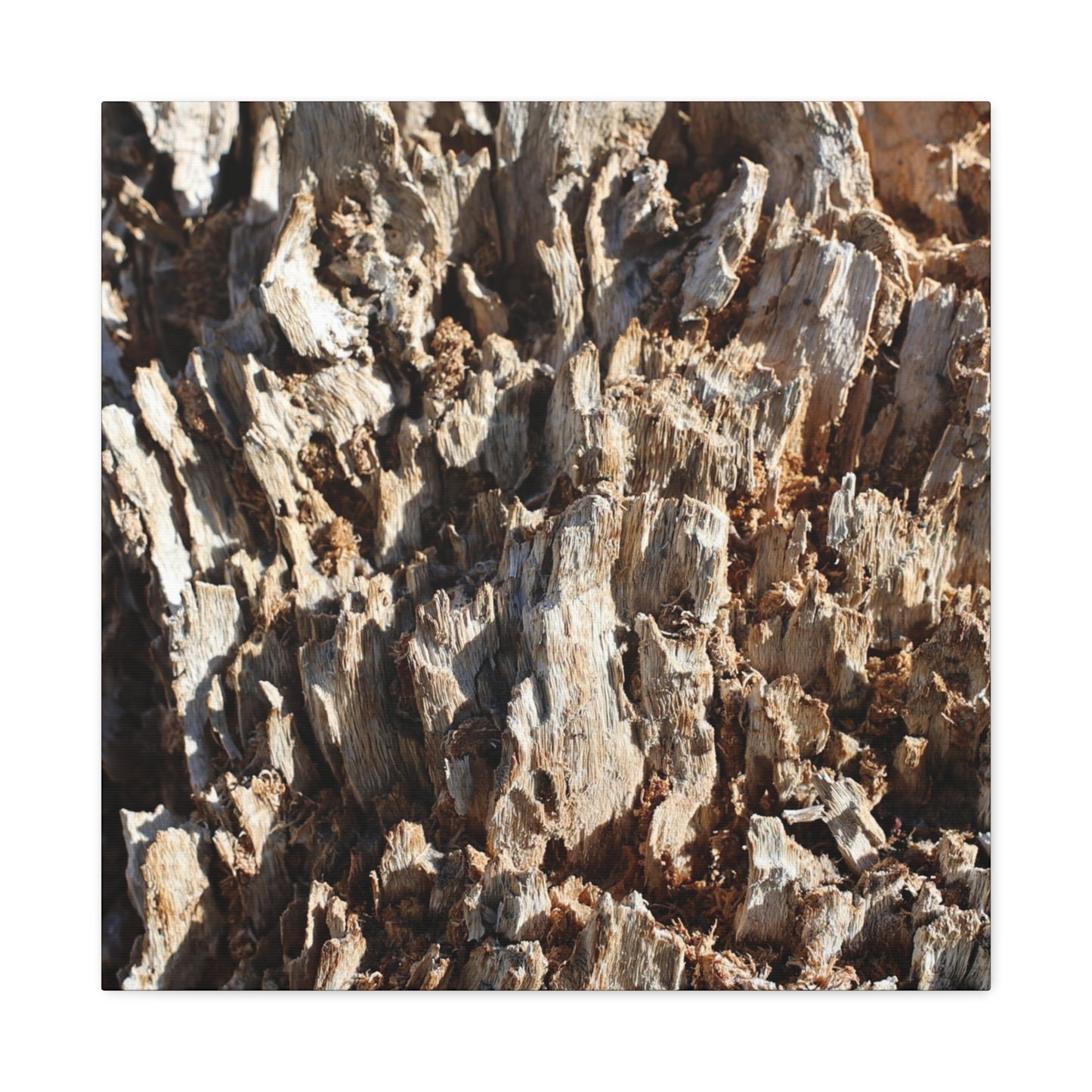 Decaying Bark Symphony - Unique Frameless Canvas Wall Art