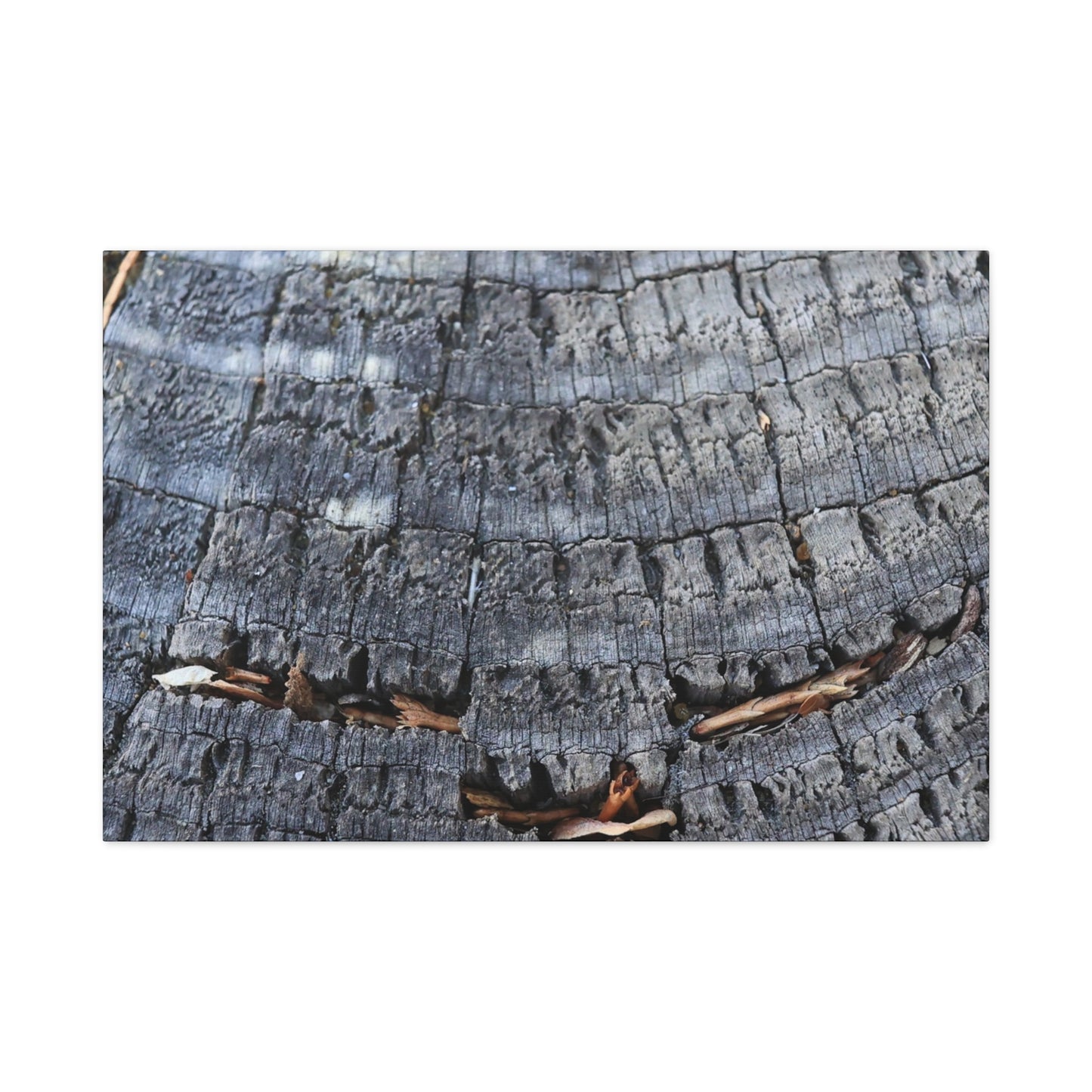 Time's Fractal Whispers - Unique Frameless Canvas Wall Art - Art By Earth