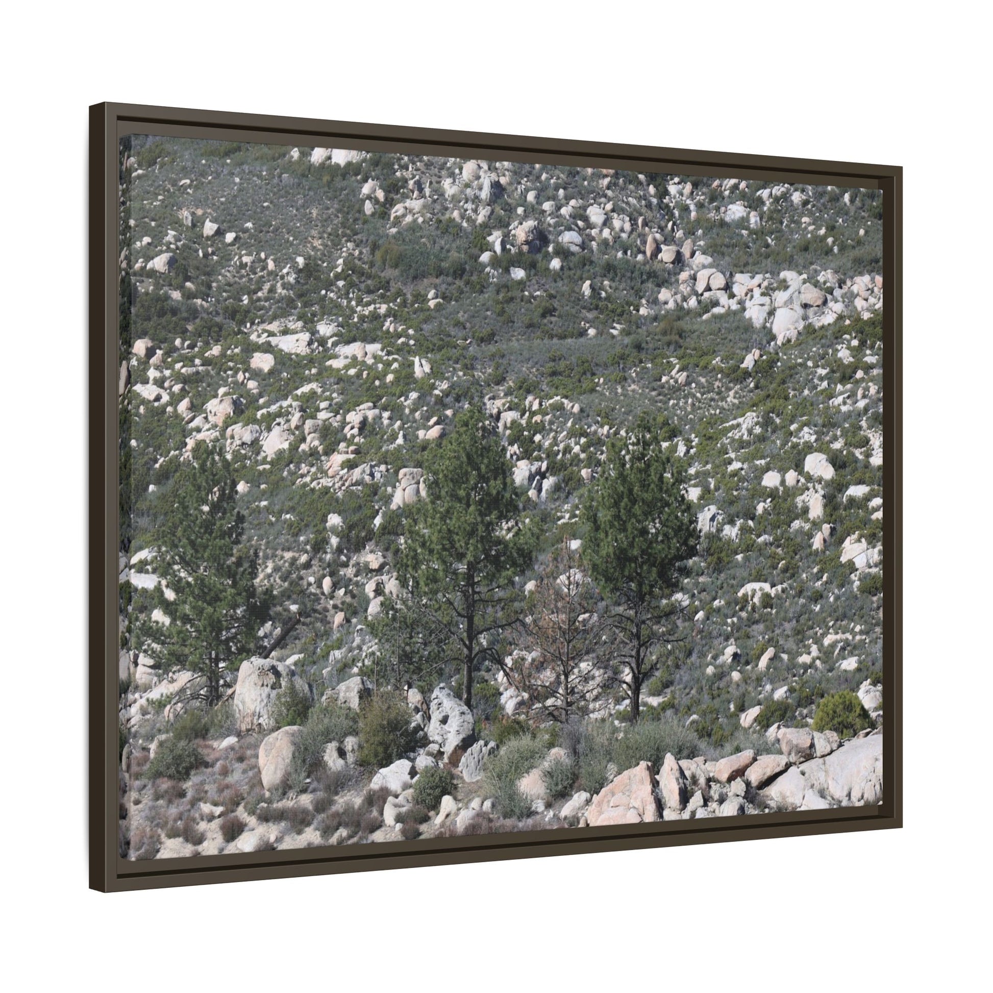 Rocky Hillside with Pine Trees - Unique Stretched Canvas Wall Art - Art By Earth