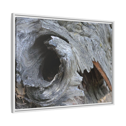 Bark's Labyrinth - Unique Stretched Canvas Wall Art - Art By Earth