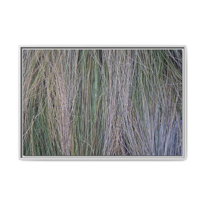 Whispers of Silver Grass - Unique Stretched Canvas Wall Art - Art By Earth