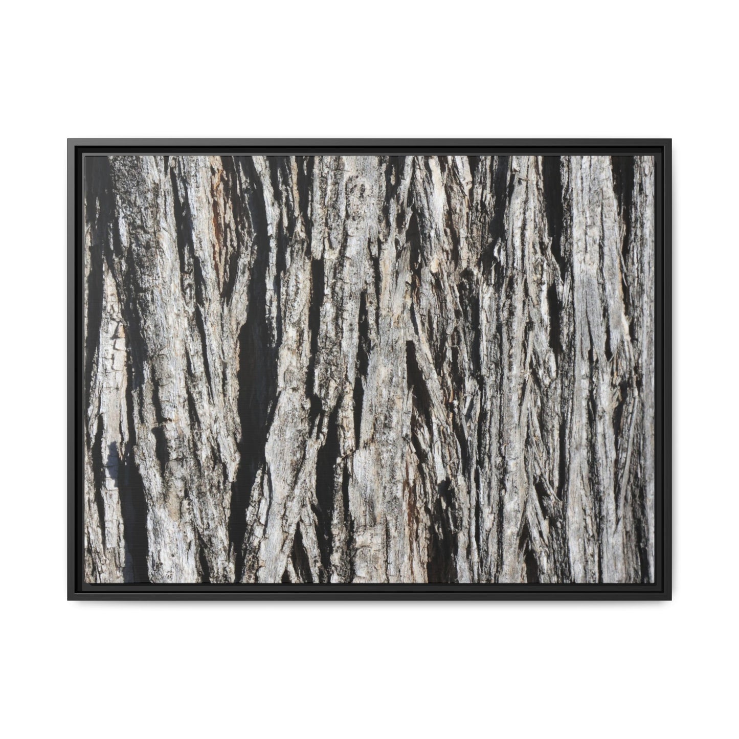 Nature's Abstract - Unique Stretched Canvas Wall Art - Art By Earth