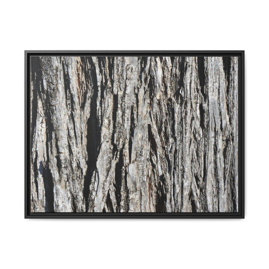 Nature's Abstract - Unique Stretched Canvas Wall Art - Art By Earth