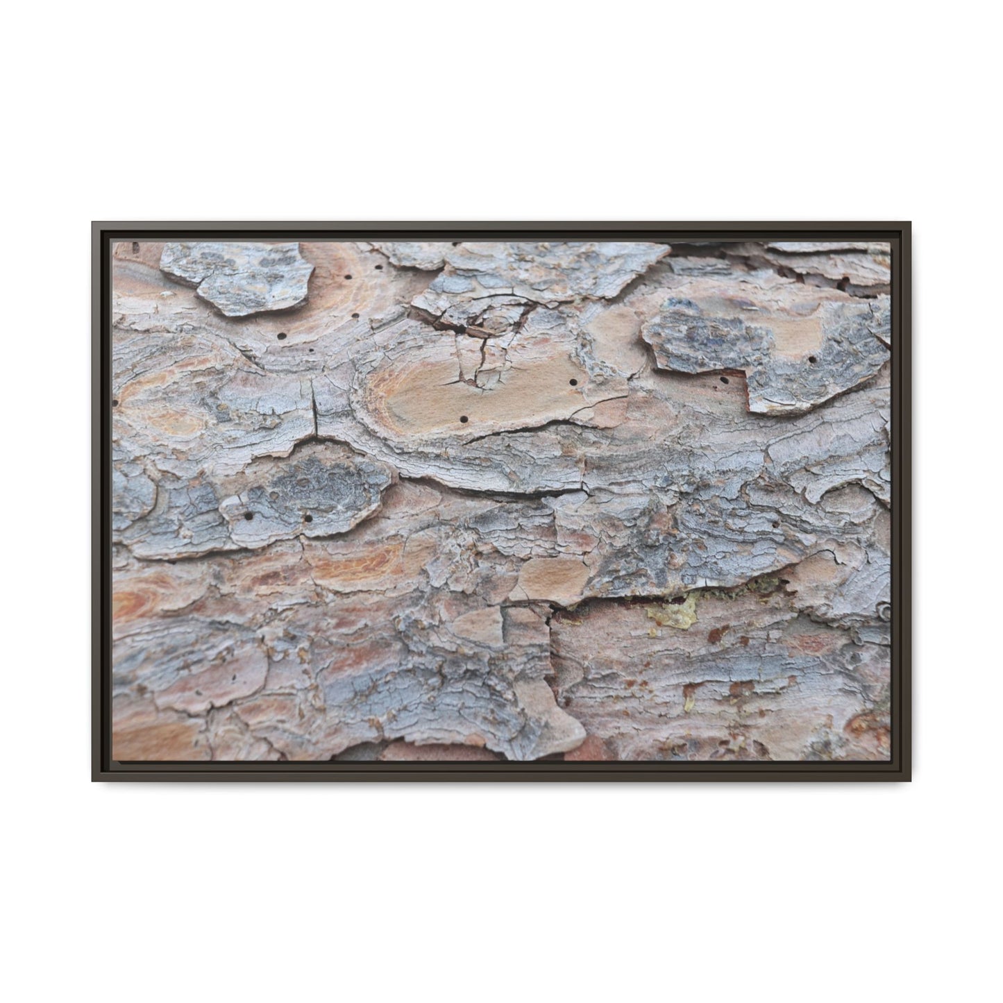 Peeling Memories - Unique Stretched Canvas Wall Art - Art By Earth