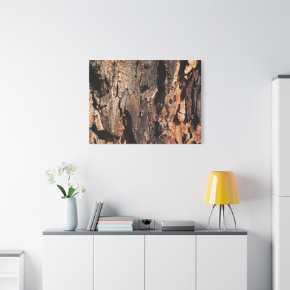 Wooden Terrain - Unique Frameless Canvas Wall Art - Art By Earth