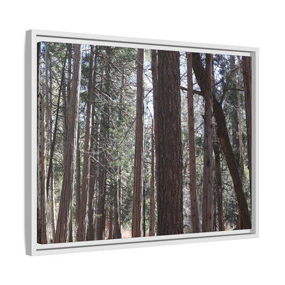 Forest Cathedral - Unique Stretched Canvas Wall Art - Art By Earth