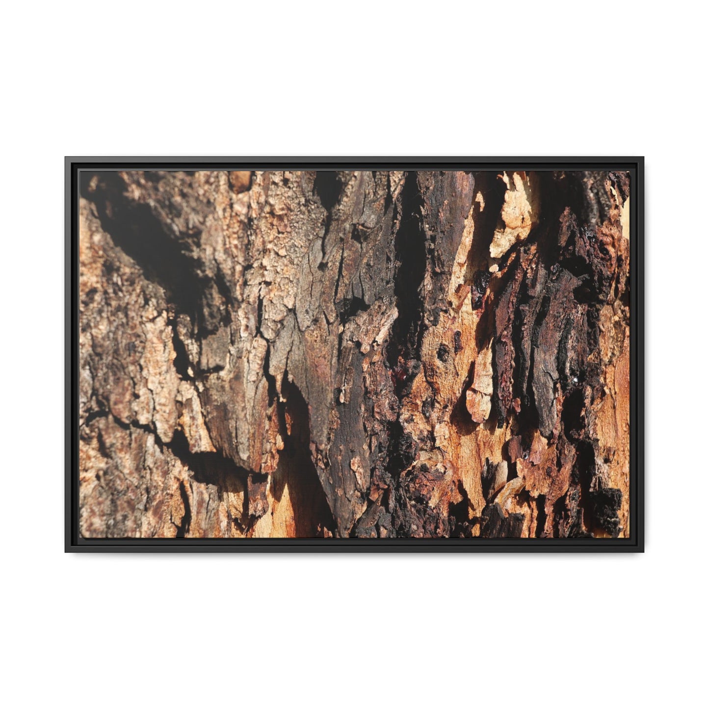 Rugged Beauty - Unique Stretched Canvas Wall Art - Art By Earth