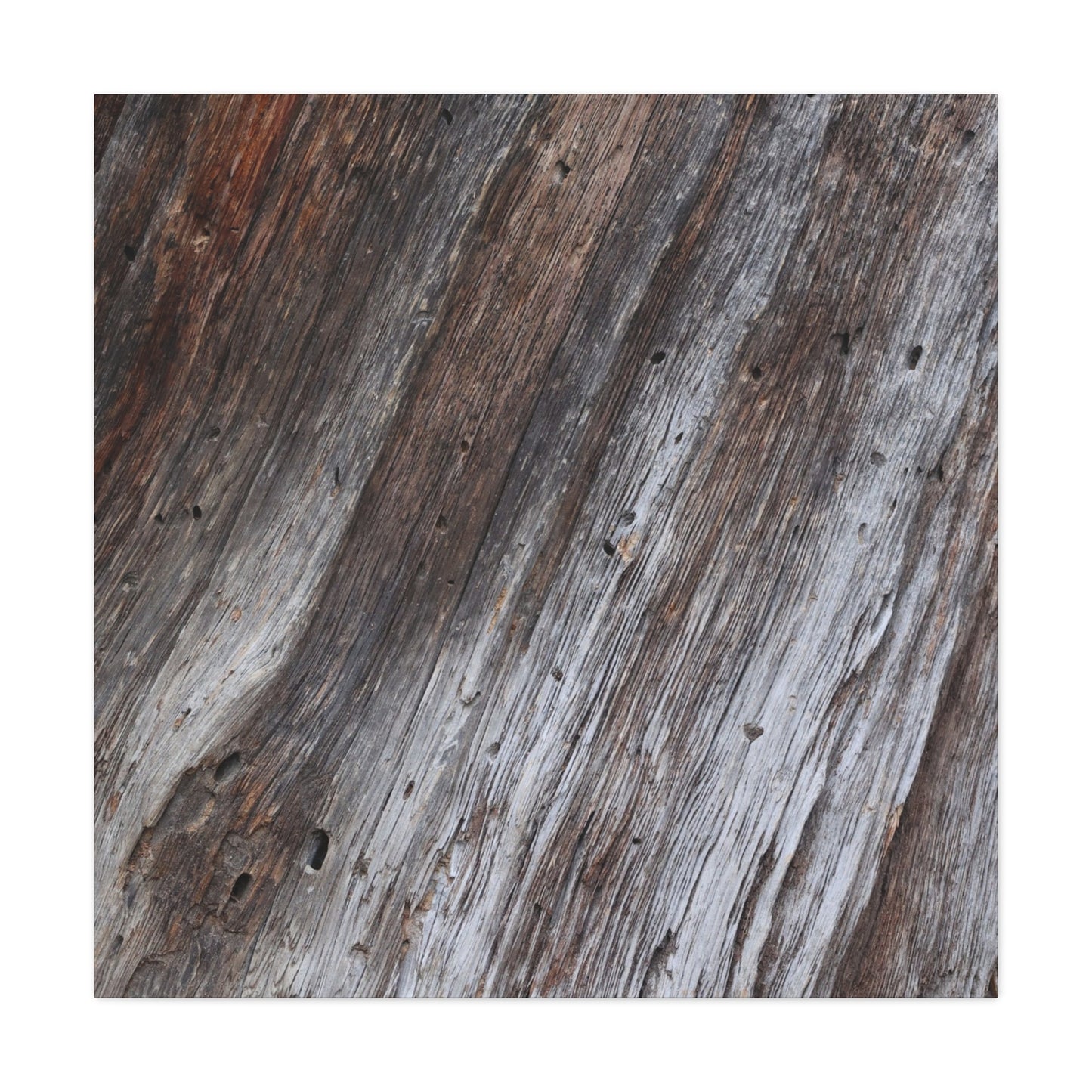 Aged Planks - Unique Frameless Canvas Wall Art - Art By Earth