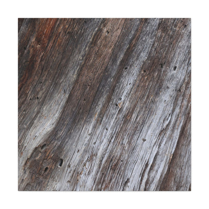 Aged Planks - Unique Frameless Canvas Wall Art - Art By Earth